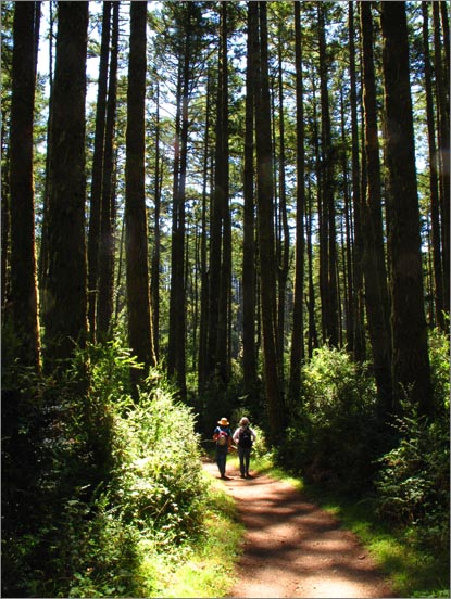 sm 090813.42.jpg - Sprawling stands of Doug Fir provide shade throughout much of the trail. We see these two hikers a lot. They must be regulars.